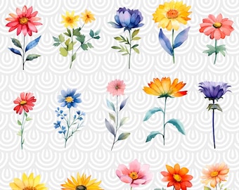 Aquarell helle Frühling Sommer Blumen Clipart - Wildblumen floral PNG format sofortiger digitaler Download für kommerzielle Nutzung