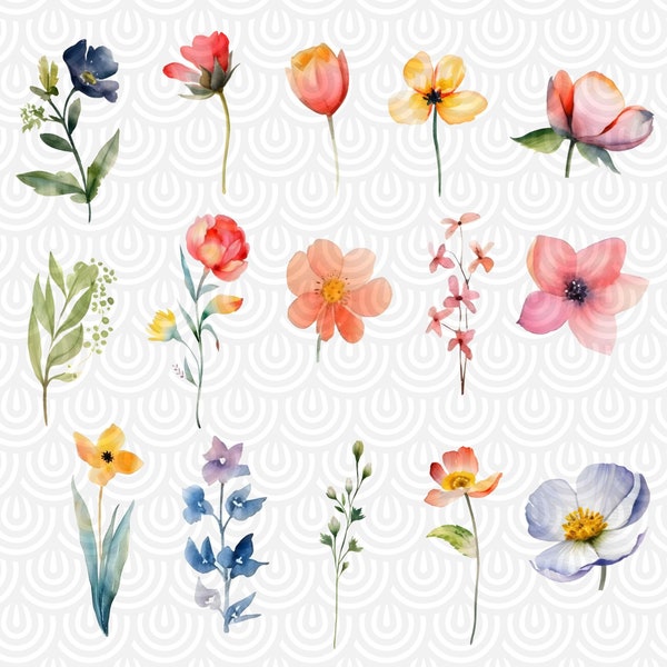Watercolor Bright Spring Summer Flowers Clipart - wildflower floral PNG format instant digital download for commercial use
