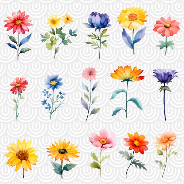 Watercolor Bright Spring Summer Flowers Clipart - wildflower floral PNG format instant digital download for commercial use