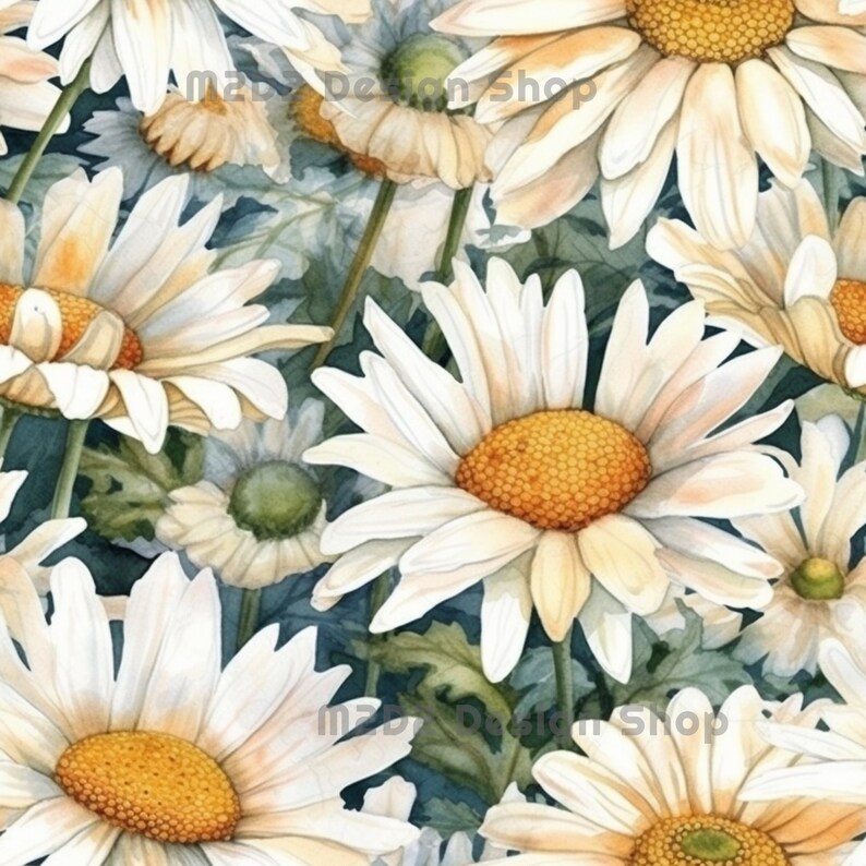 May include: A close-up of a cluster of white daisies with yellow centres. The daisies are arranged in a bouquet and have a soft, watercolour-like appearance.