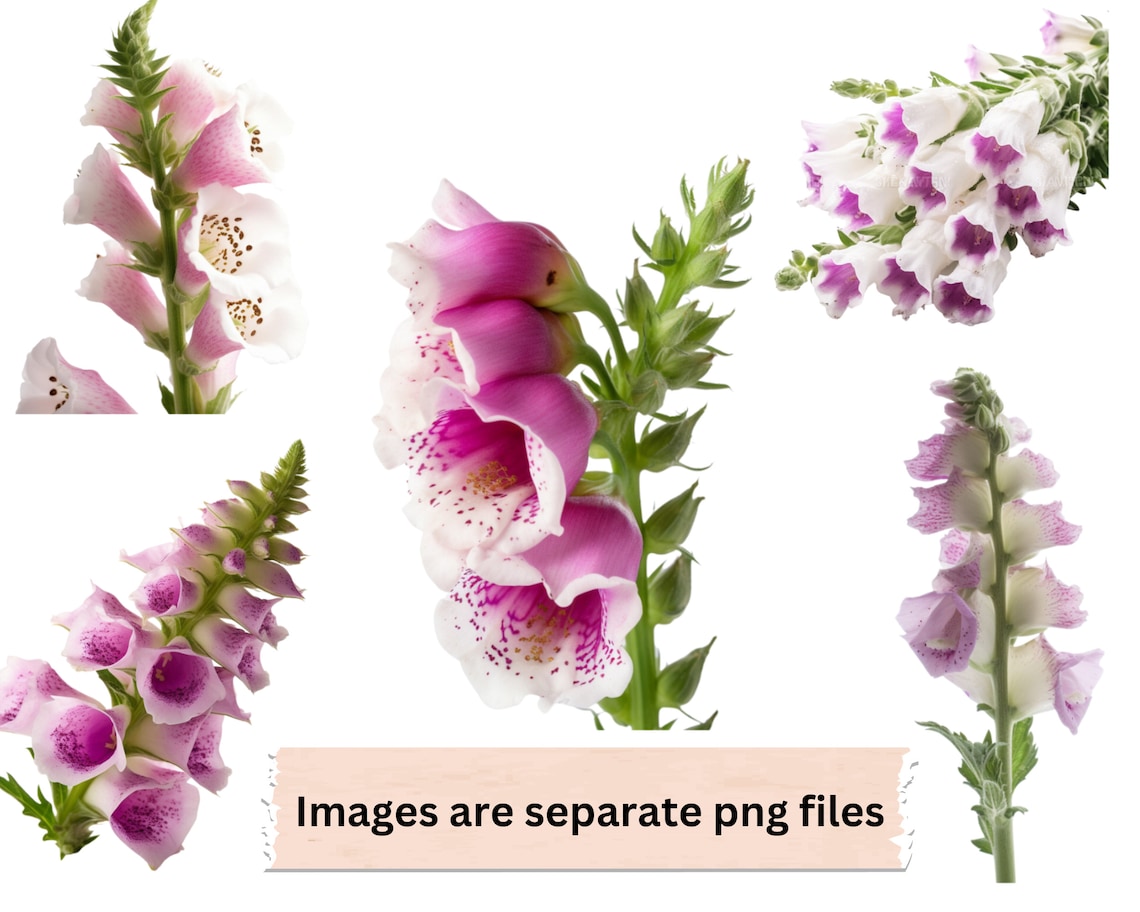 Fingerhut Clipart Fingerhut PNGDateien Sofort Download Fingerhut