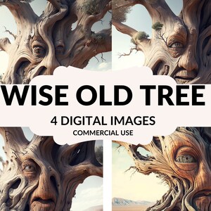 Wise Old Tree 