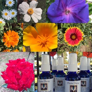 Flower Essence Blend customized