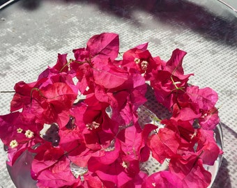 Bougainvillea Flower Essence