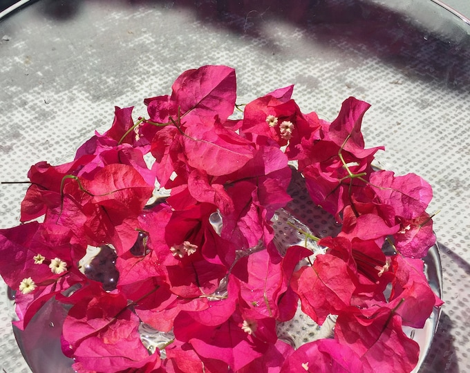 Featured listing image: Bougainvillea Flower Essence