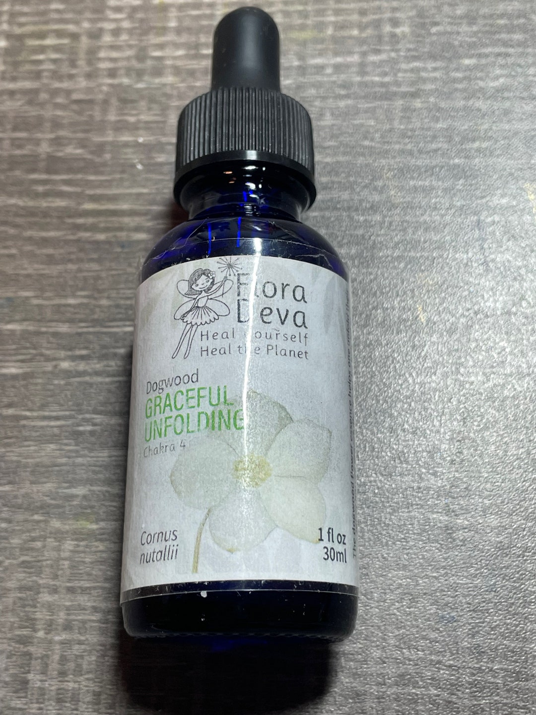 Dogwood Flower Essence Etsy