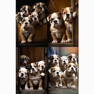 Puppies - Bulldog - 4 images included - multiple sizes