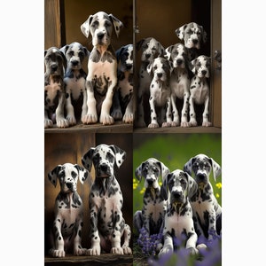 Puppies - Great Dane - 4 images included - multiple sizes