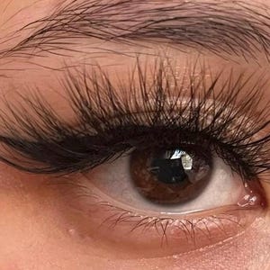 Puede incluir: Primer plano de un ojo con pestañas largas y oscuras. Las pestañas son gruesas y llenas, dando al ojo un aspecto dramático.