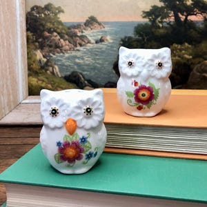 Vintage owl salt and pepper shaker set, colorful floral owl decor, cottage core kitchen decor, kitschy kitchen decor