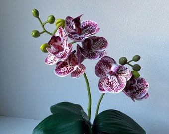 2 Stem Mini Phal Orchid Arrangement - Pink Speckled