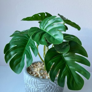 Puede incluir: Una planta artificial de monstera en maceta con hojas verdes en una maceta de hormigón gris con un patrón de hojas. La maceta está llena de pequeñas piedras blancas.