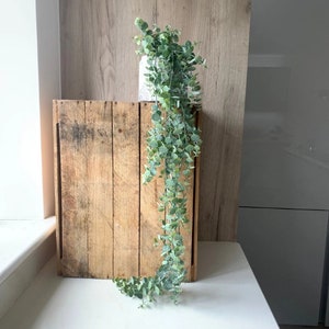 Artificial Trailing Gunni Eucalyptus - 95cm - Natural Green - With Or Without Pot