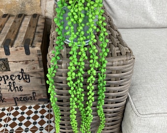 Artificial String Of Pearls 45 cm - Green