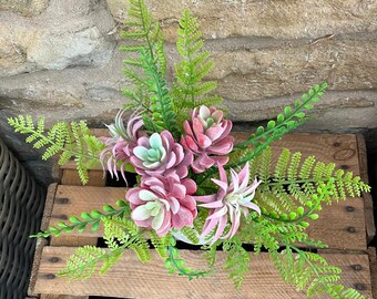 Fern & Succulent Pink and Green in Fern Pot