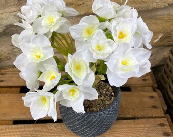 White Narcissus in Charcoal Round Bottom Mesh Clay Pot