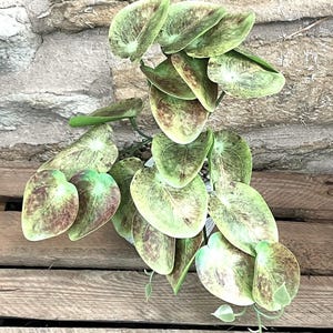 Printed Mirror Leaf Bunch 28cm - With Or Without Pot