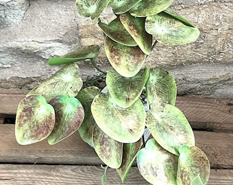 Printed Mirror Leaf Bunch 28cm - With Or Without Pot