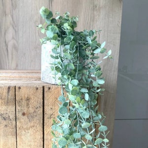 Artificial Trailing Gunni Eucalyptus - 95cm - Pale Green With or Without Pot
