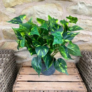 May include: A lush, artificial plant with vibrant green and yellow leaves. The plant is potted in a dark gray, textured pot and sits on a wooden crate. The leaves have a heart shape. The background is a stone wall.