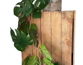 Artificial Trailing Monstera Vine - 110cm