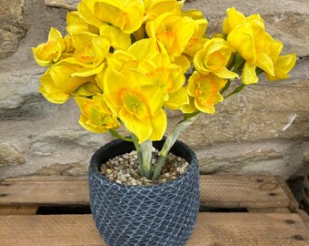 Yellow Narcissus in Charcoal Round Bottom Mesh Clay Pot