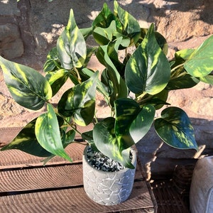 May include: A potted artificial plant with green and yellow variegated leaves. The plant is in a gray textured pot.