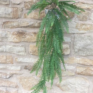 Artificial Trailing Fern - 105cm
