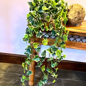 Puede incluir: Una planta artificial larga y colgante con hojas variegadas verdes y blancas. La planta cuelga de una mesa de madera.