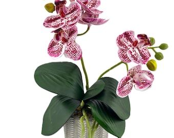 2 Stem Mini Phal Orchid Arrangement - Pink Speckled