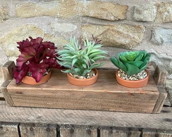Trio Of Succulents in Wooden Planter