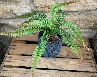 Artificial Fern Bunch 36cm