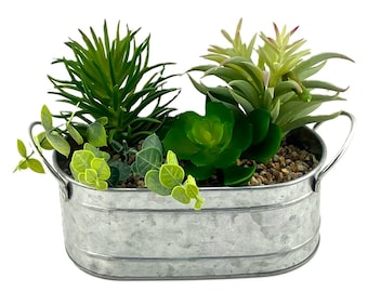 3 Succulents in a Galvanized Metal Trough (18cm x 10cm)