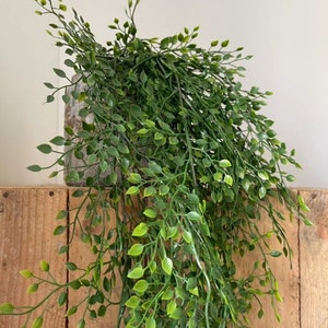 Artificial Trailing Mini Jasmin Plant - 80cm - With Or Without Pot