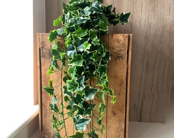 Artificial Variegated Trailing Ivy - 70cm - With Or Without Pot