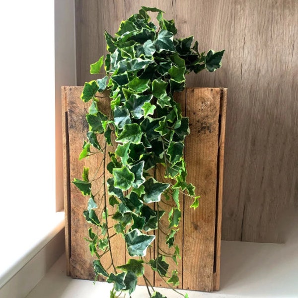 Artificial Variegated Trailing Ivy - 70cm - With Or Without Pot
