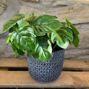 Puede incluir: Una taza de cerámica blanca con un asa negra y el texto "But First, Coffee" en negro, con una fuente de estilo manuscrito. La taza está sobre una superficie blanca.