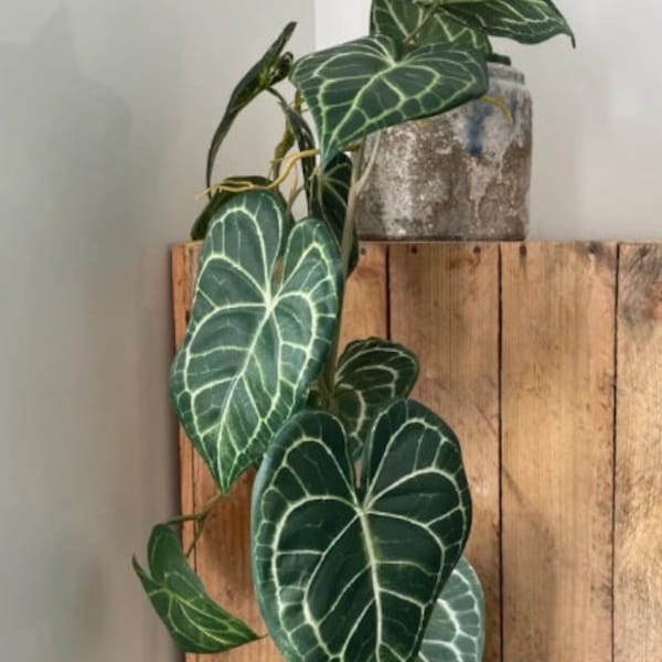 Künstlicher nachlaufender Athurium-Seidendruckranke - 110 cm