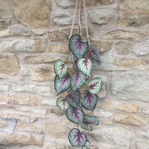 Artificial Begonia Hanging Spray - 110cm - Pink & Grey