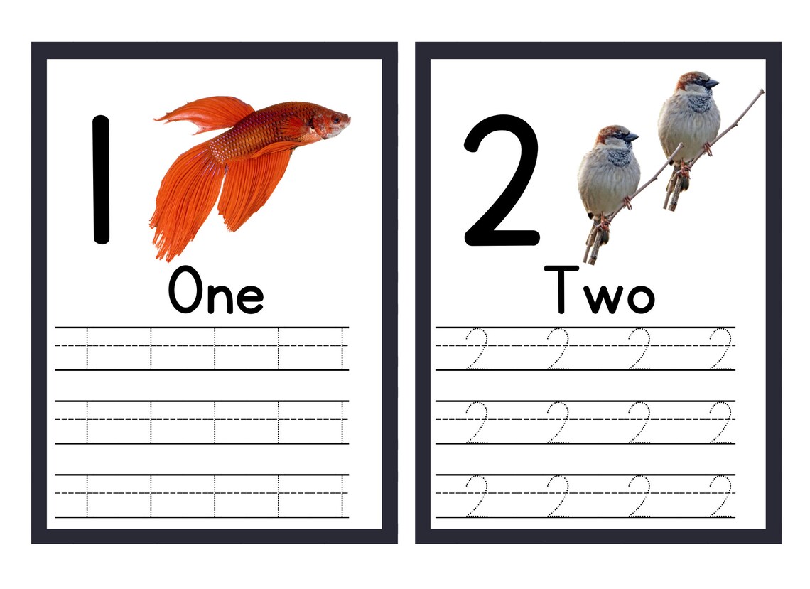 1-10 Counting and Writing Practice Work Sheets, Toddler Learning, Prek ...