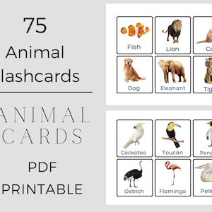 75 cartes-éclair réalistes d'animaux pour les tout-petits, PDF imprimable, parfaites pour un apprentissage amusant et interactif, éducation des tout-petits, cartes-éclair animaux