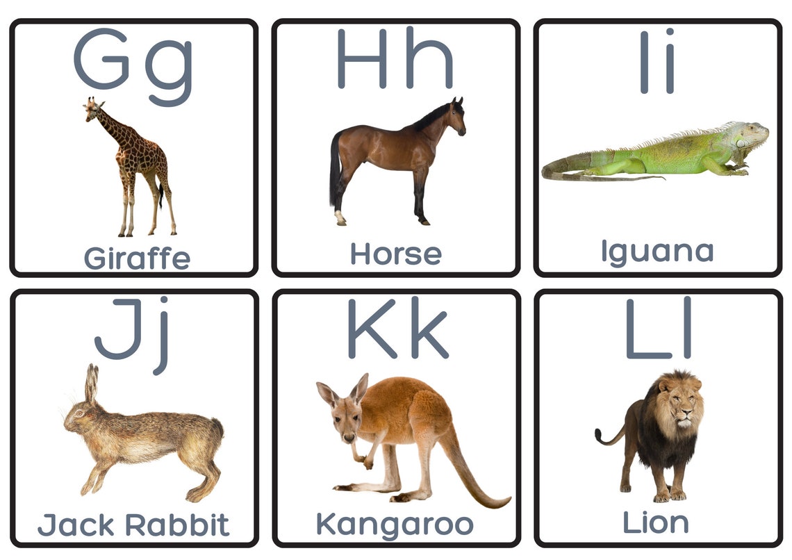26 Printable Alphabet Animal Flashcards, Real Pictures ABC Picture