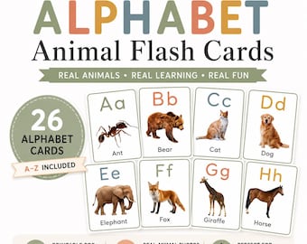 Alphabet Flash Cards Printable, Animal Flashcards, Real Animal Photos, ABC Cards, Preschool Learning, Montessori Printable, Homeschool PDF