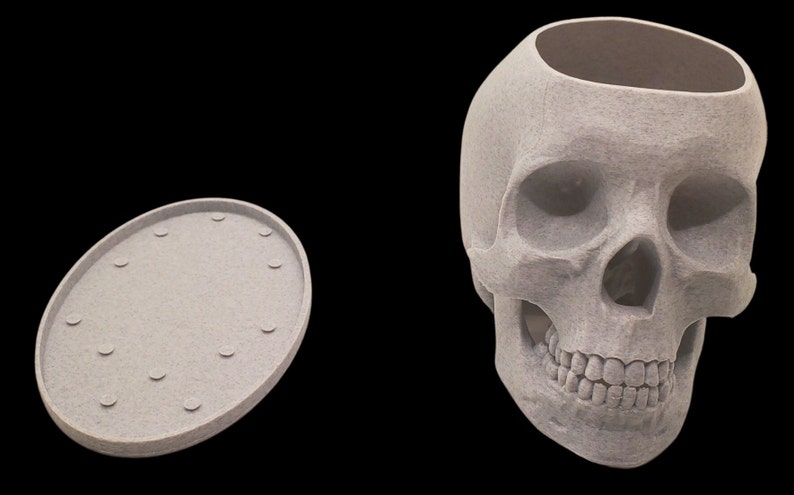May include: A white ceramic skull planter with a removable lid. The skull has a detailed design with visible teeth and eye sockets.