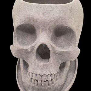 May include: A gray, ceramic skull planter with a hollowed-out top for planting. The skull has a detailed face with teeth and eye sockets.