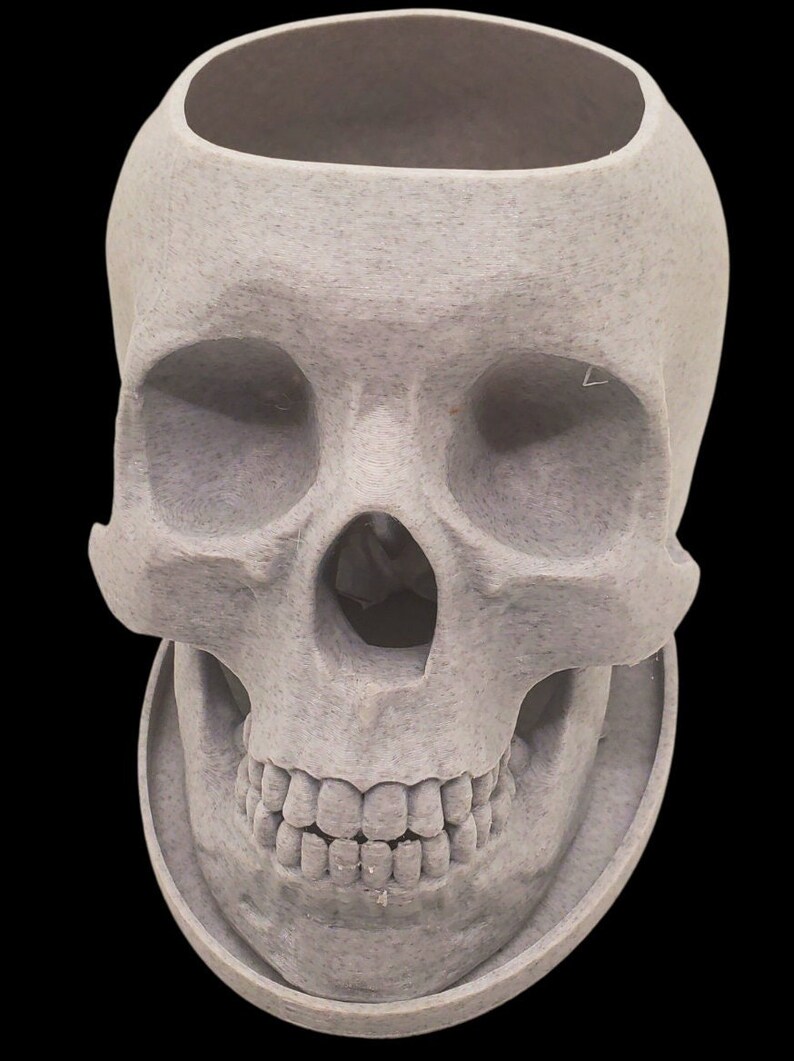 May include: A gray, ceramic skull planter with a hollowed-out top for planting. The skull has a detailed face with teeth and eye sockets.