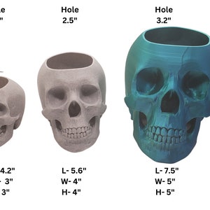 May include: Three gray and blue skull planters with different sized holes. The smallest planter has a 1.7 inch hole, the middle planter has a 2.5 inch hole, and the largest planter has a 3.2 inch hole. The planters are 4.2 inches long, 3 inches wide, and 3 inches high; 5.6 inches long, 4 inches wide, and 4 inches high; and 7.5 inches long, 5 inches wide, and 5 inches high.