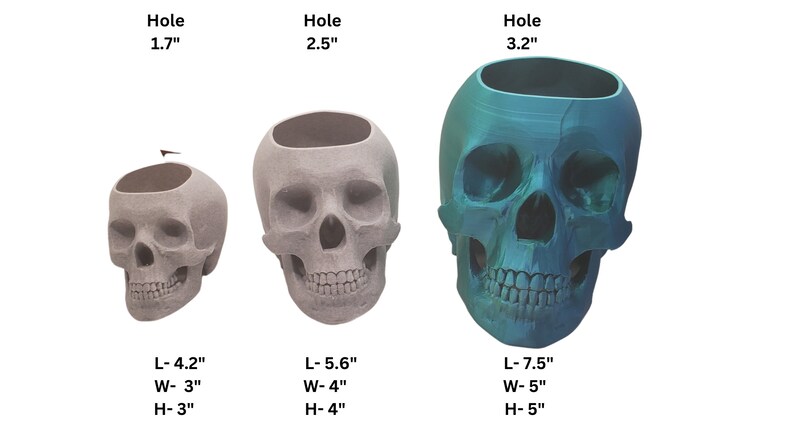 May include: Three gray and blue skull planters with different sized holes. The smallest planter has a 1.7 inch hole, the middle planter has a 2.5 inch hole, and the largest planter has a 3.2 inch hole. The planters are 4.2 inches long, 3 inches wide, and 3 inches high; 5.6 inches long, 4 inches wide, and 4 inches high; and 7.5 inches long, 5 inches wide, and 5 inches high.
