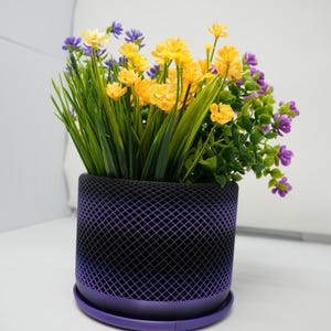 Indoor Planter Pot with Drainage, Mesh pot 3D Printed  for Flower and Succulents, Home and Office Décor
