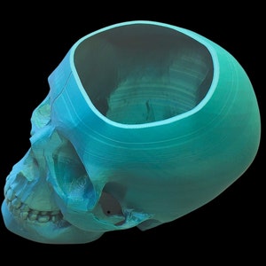 May include: A teal blue ceramic skull planter with the top of the skull removed, revealing the inside of the planter. The skull is tilted to the side.